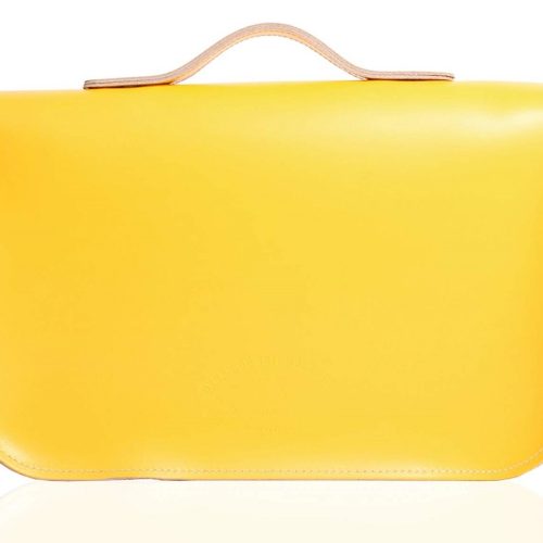 double_yellow_briefcase_ii